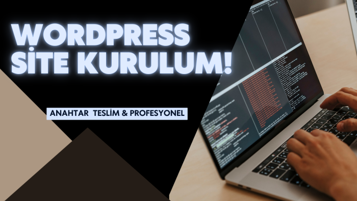 wordpress ile anahtar teslim profesyonel web sitesi yaparım