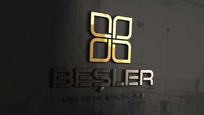 özgün ve akılda kalıcı logo tasarımı yapabilirim