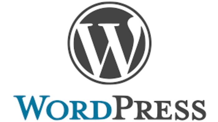 wordpress tabanlı sitenize tema kurabilirim