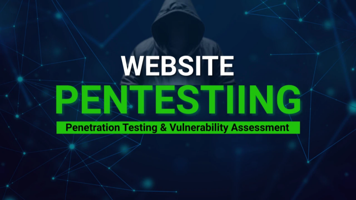 profesyonel güvenlik testleri(pentest) yaparım