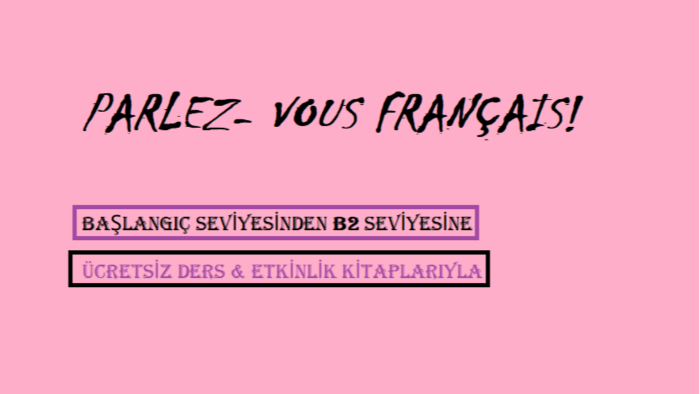 sıfırdan C1'e kadar Fransızca özel ders veriyorum