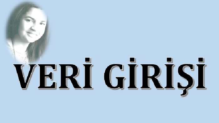 istediğiniz platforma veri girişinizi yapabilirim