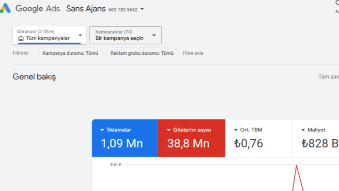 Google Ads ve Meta reklamlarınızı profesyonelce kurabilirim