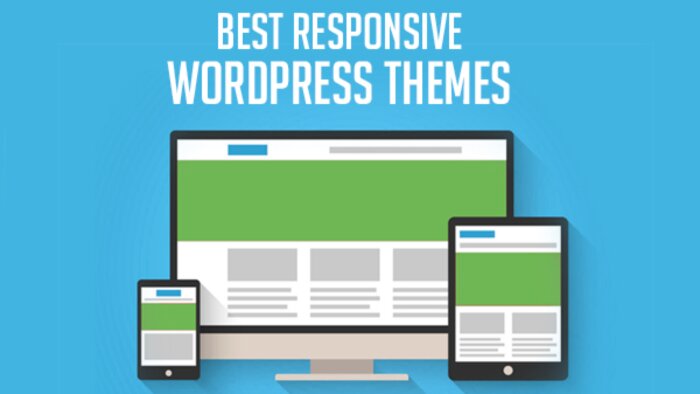 size özel wordpress web siteleri yaparım
