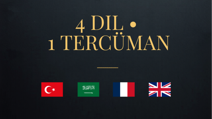 hızlı ve doğru Arapça, Fransızca, İngilizce çeviri yaparım
