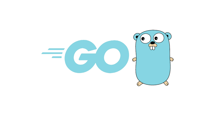golang projelerinizi profesyonel şekilde hazırlarım