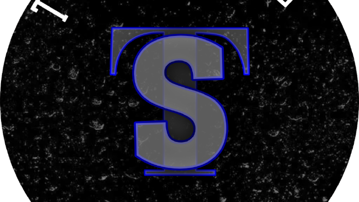sade ve şık bir logo tasarlarım