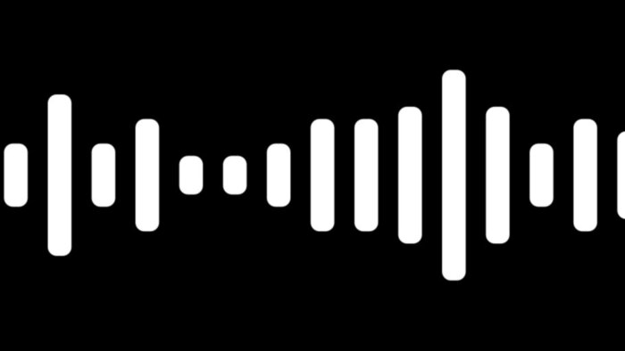 şarkılarınıza hızlı ve profesyonel mix mastering yapabilirim