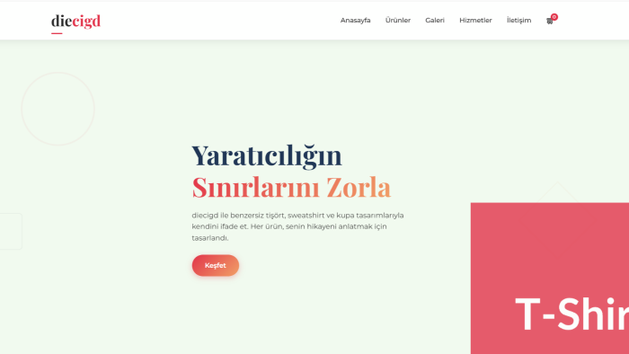 tasarım dillerini kullanarak kişisel sitenizi yapabilirim