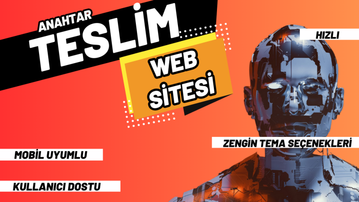 wordpress ile sizlere profesyonel siteler yapabilirim