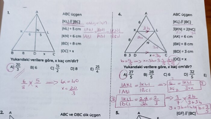 geometri dersi verebilirim
