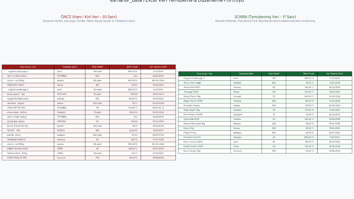 Excel Veri Girişi, Listeleme, Veri Temizleme yapabilirim