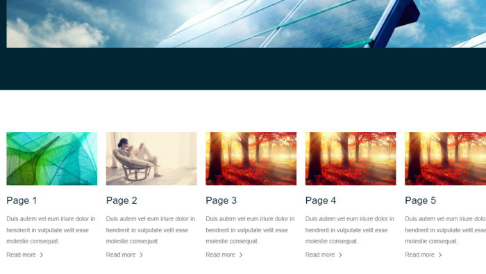 size özel web sitesi yapabilirim