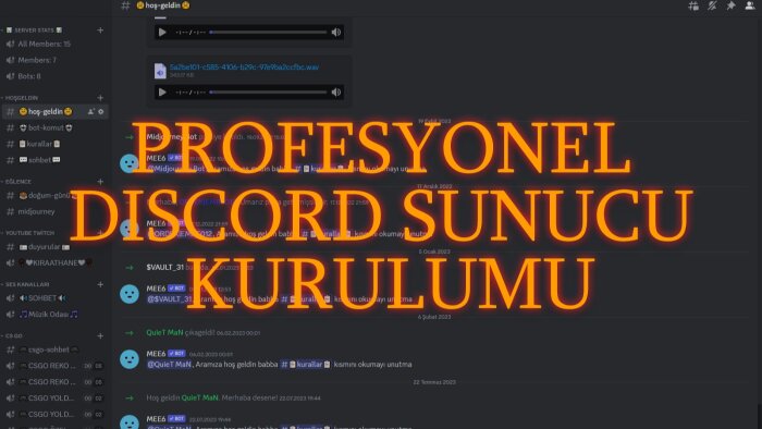 profesyonel Discord sunucusu kurabilirim
