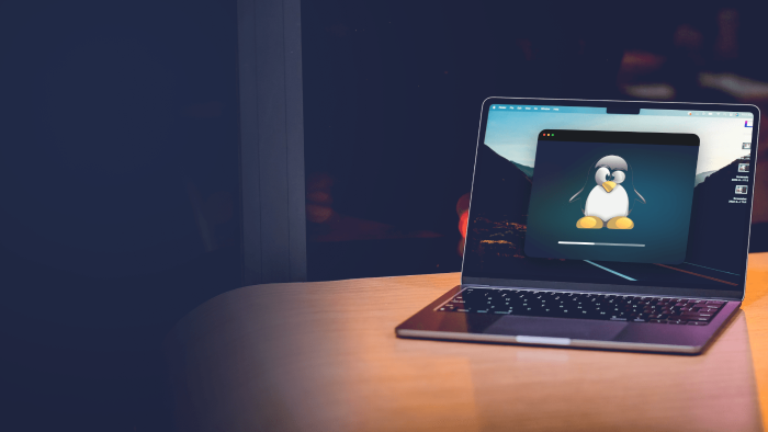 linux – windows işletim sistemleri kurulumu yapabilirim