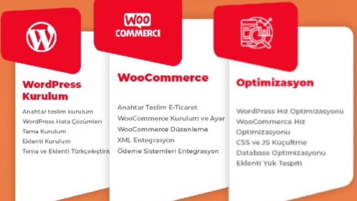 seo dostu, üst düzey tasarım profesyonel web sitesi yaparım