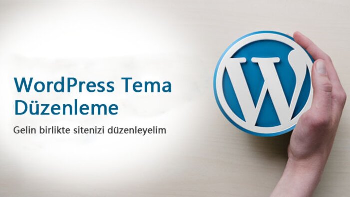wordpress temanızı ve demosunu kurarım