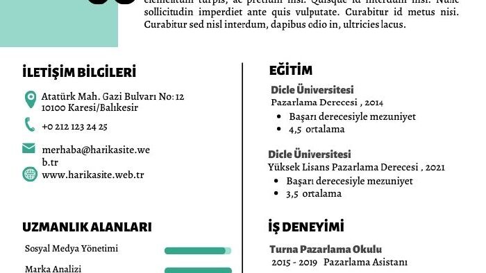 özgeçmişinizi yazıyorum