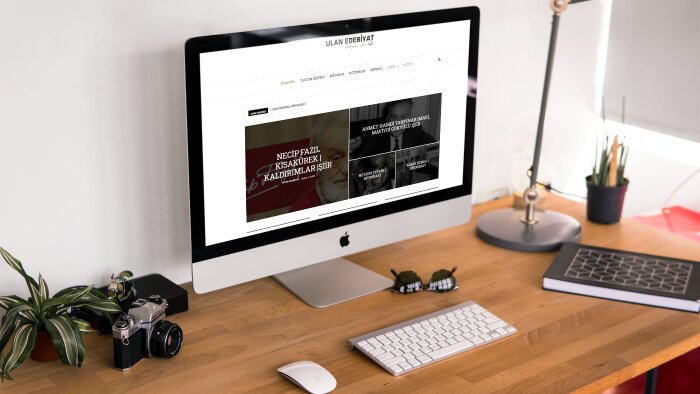 wordpress sitenize özel danışmanlık yapabilirim