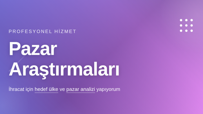 ihracat için hedef ülke ve pazar araştırması yaparım