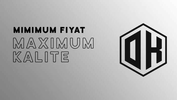 istediğiniz harflerden vektörel logo hazırlarım