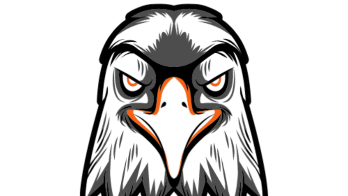  logo yaparım