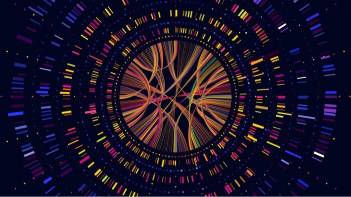 WGS verilerinize biyoinformatik danışmanlık sağlıyorum