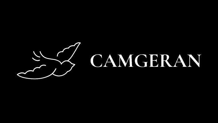 Size Özel Profesyonel Logo Tasarlıyorum