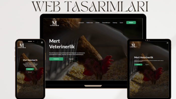 html ve css ile modern ve responsive web siteleri kodluyorum