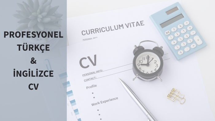 dikkat çekici profesyonel Türkçe ve İngilizce CV hazırlarım