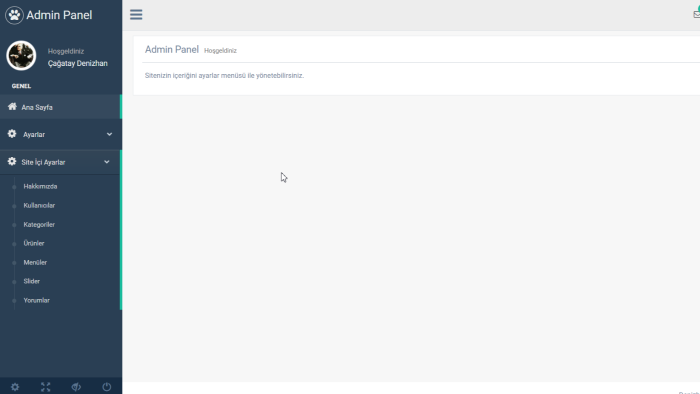 admin panelli bir web site yapabilirim