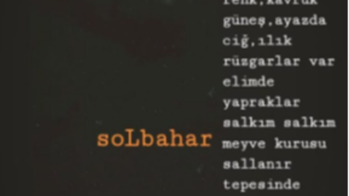 size özel şiir yazabilirim