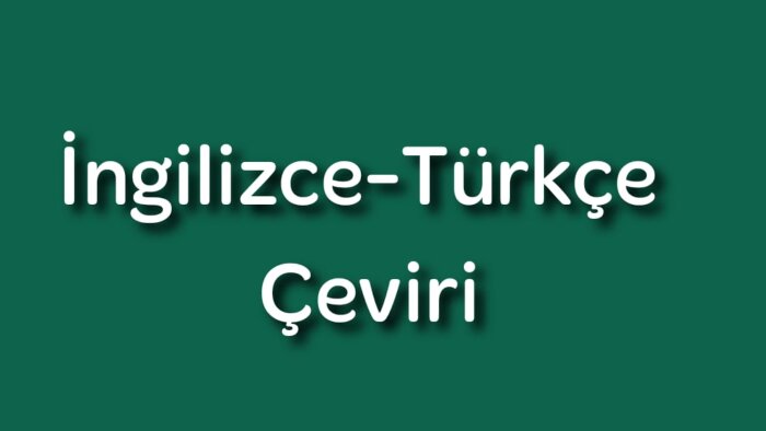 İngilizce-Türkçe çeviri yapıyorum