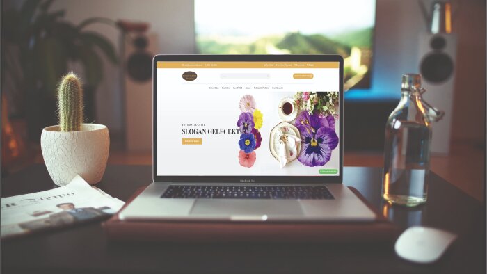 profesyonel web tasarımı yapabilirim