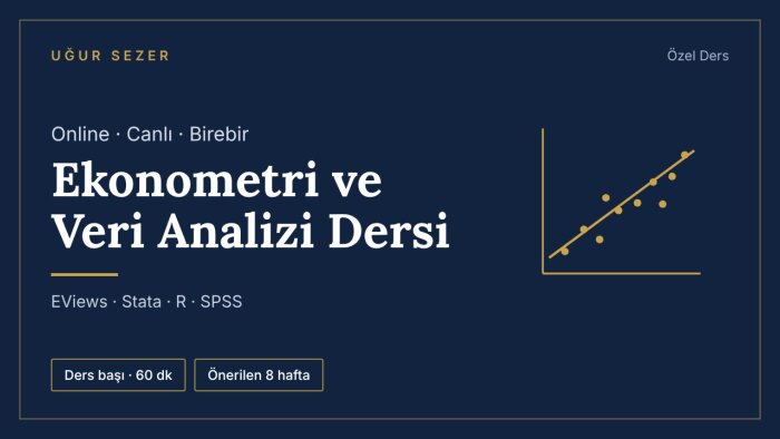online birebir ekonometri ve veri analizi dersi veririm