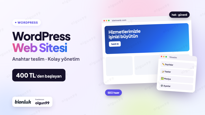 WordPress ile anahtar teslim web sitenizi kurarım