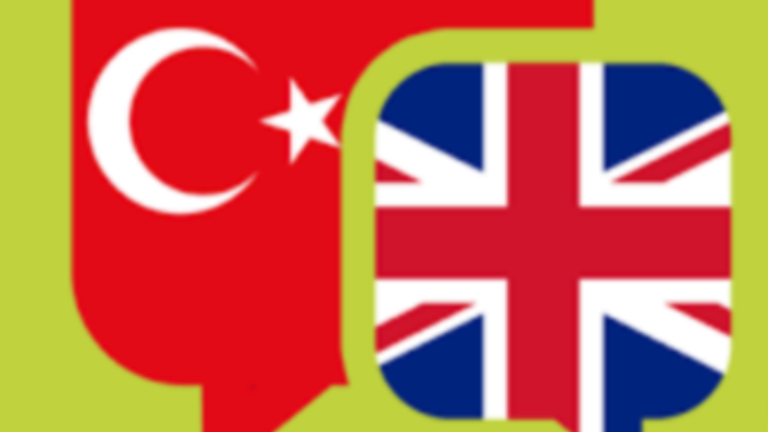 yazılarınızı çevirebilirim