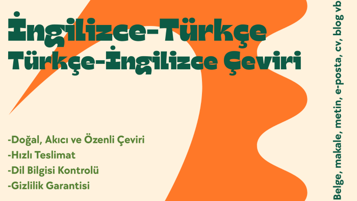 metinlerinizin her birini özenle çeviririm