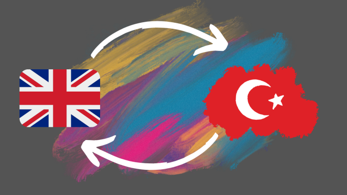  her türlü İngilizce Türkçe çevirilerinizi yapabilirim