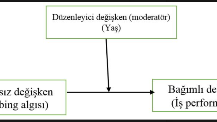 SPSS programı ile aracı etki analizi yapabilirim