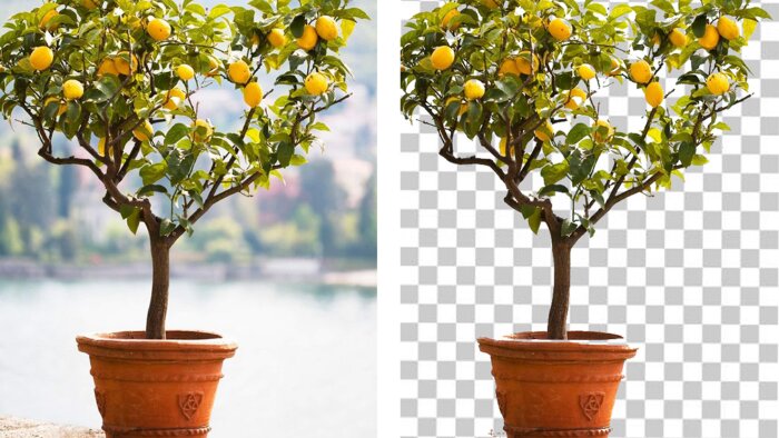  her türlü fotoğraflarınızı profesyonelce dekupe edebilirim