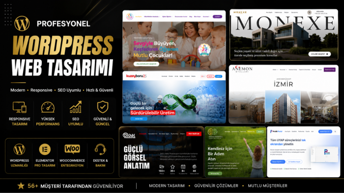 işletmeniz için profesyonel WordPress sitesi kuruyorum