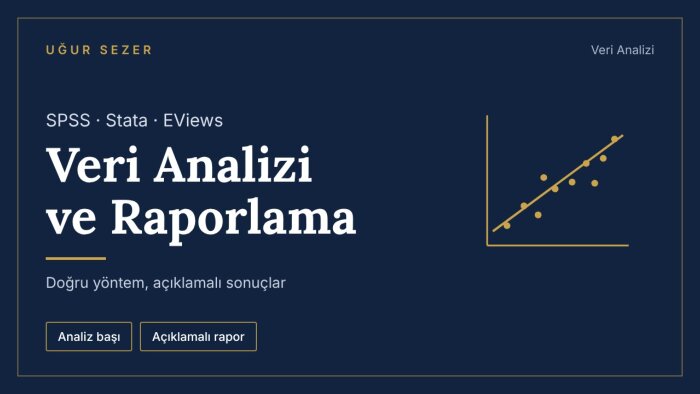 SPSS, Stata ve EViews ile veri analizi yaparım