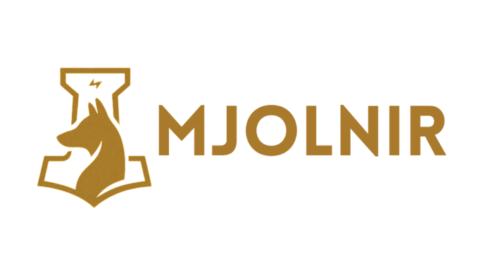 bir çok farklı sektör için logo tasarımlarınızı yapabilirim