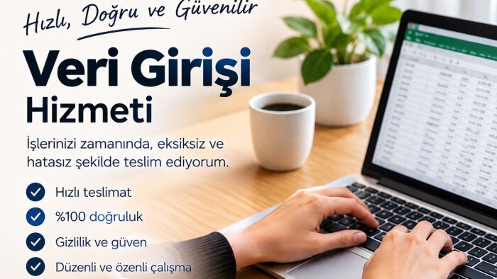 profesyonel veri girişi ve veri düzenleme hizmeti veriyorum