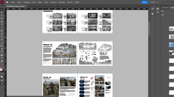 ındesign ile kitap tasarımları yaparım