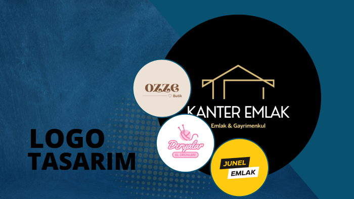  sizin için profesyonel bir logo yaparım