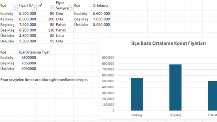 excel ile veri düzenleme analiz ve raporlama yaparım