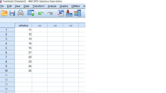 SPSS, AMOS ve LISREL analizlerinizi yapabilirim