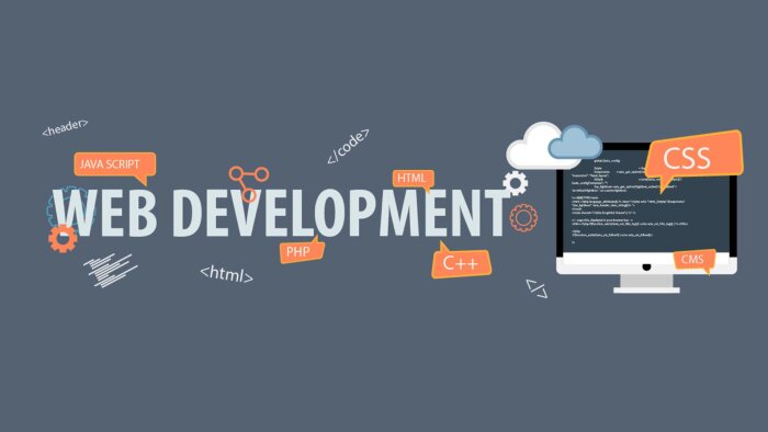yönetim paneli ile web sitesi  yapabilirim